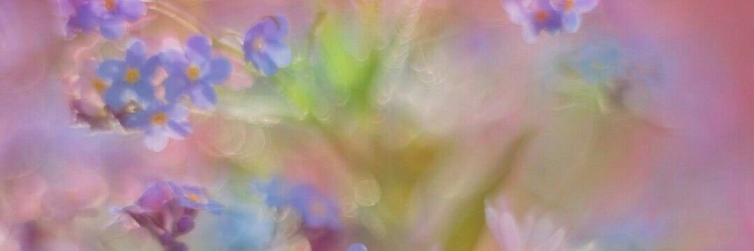 versacetam's profile banner image
