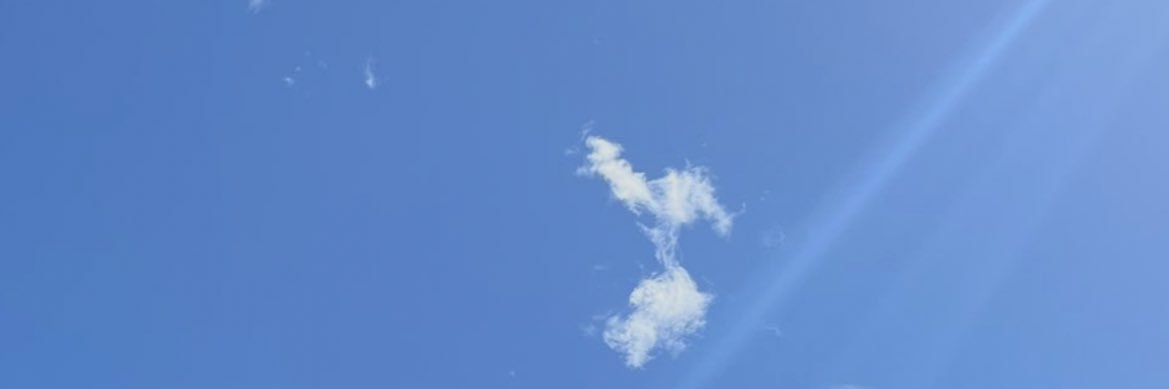 WillWarddd's profile banner image