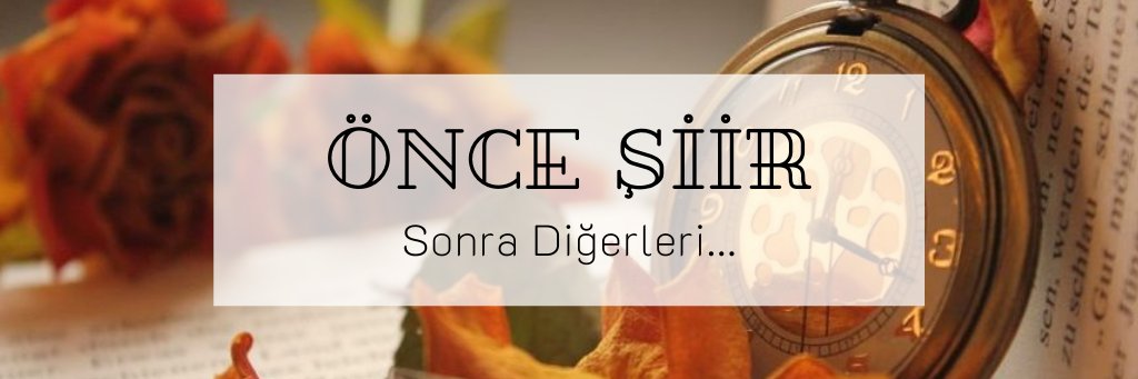 herseysiirdir's profile banner image
