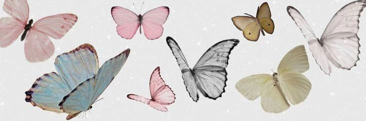 bri_macd's profile banner image