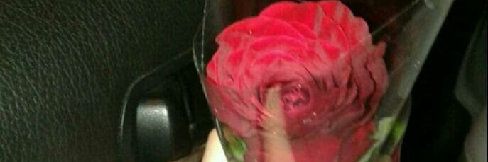 نجم 💫💫💫 banner