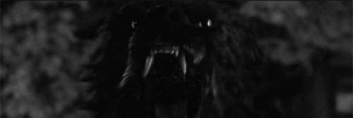 JessCorven's profile banner image