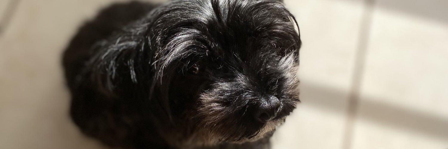 AgusDiodato's profile banner image