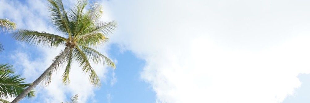 lusterheat's profile banner image