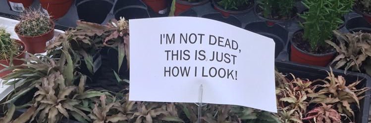 primxvera's profile banner image