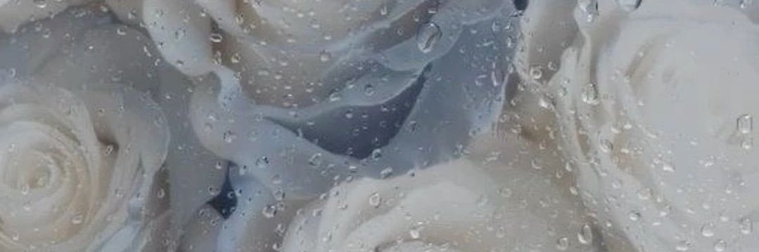 ___kn315's profile banner image