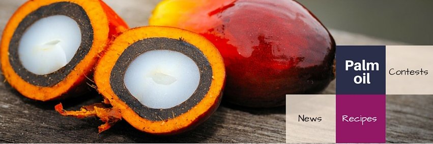 thinkpalmoil's profile banner image