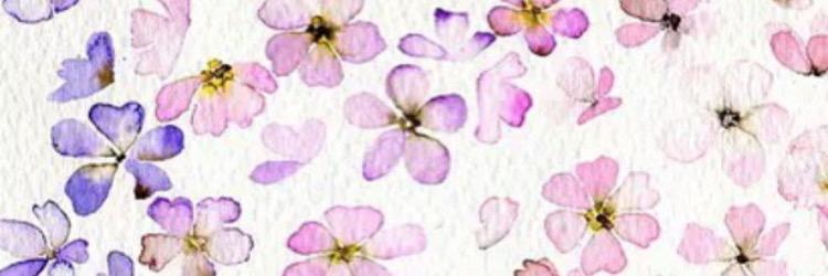 Dpdoop2015's profile banner image