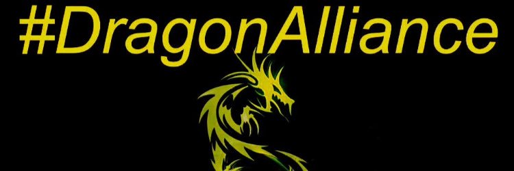 zoradragon's profile banner image