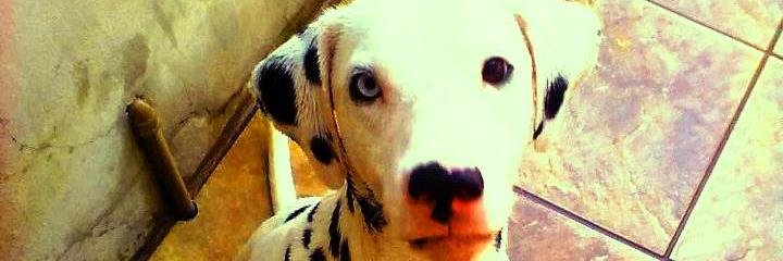 anne_app's profile banner image