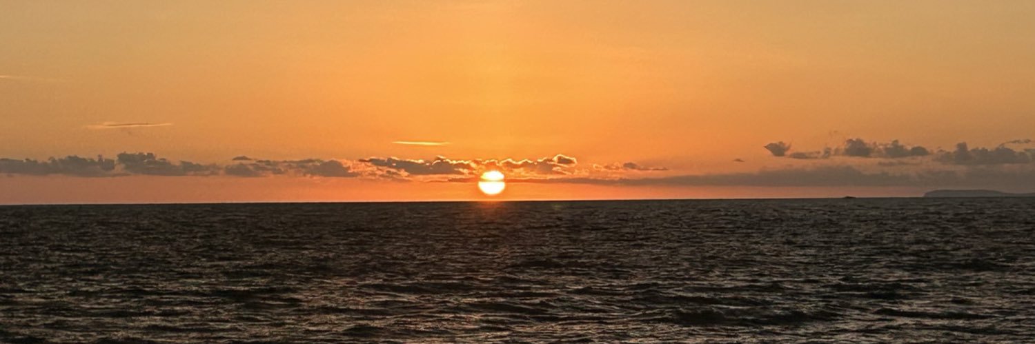 pamemelas's profile banner image