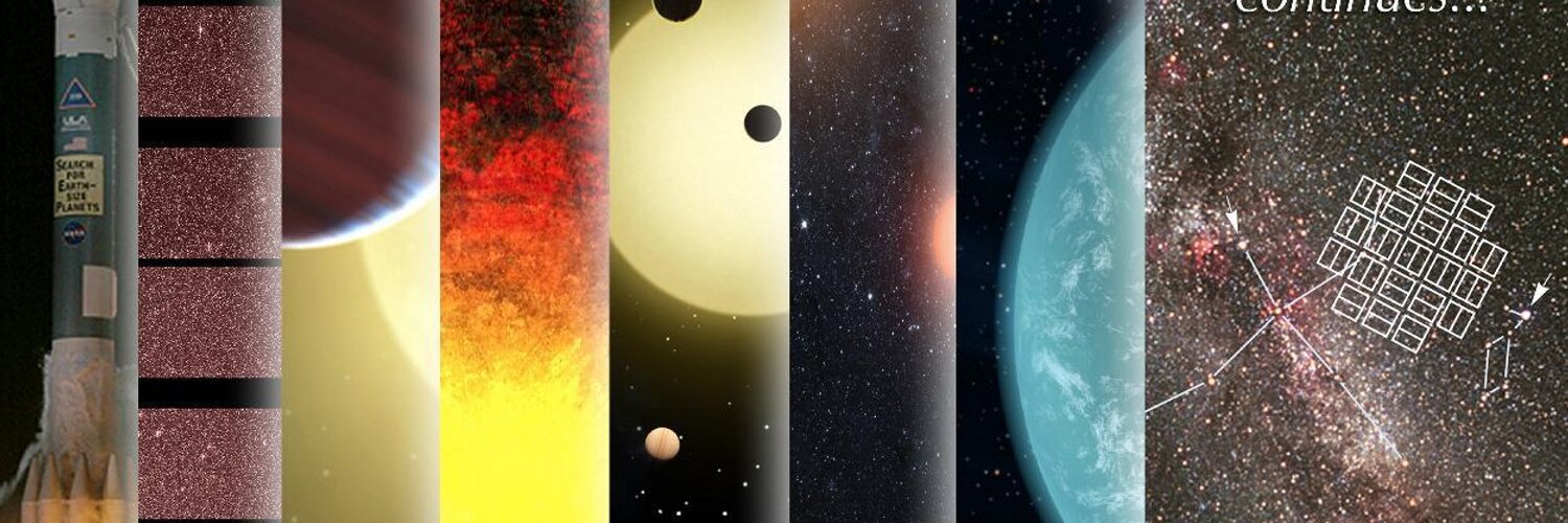 White Lies Matter banner