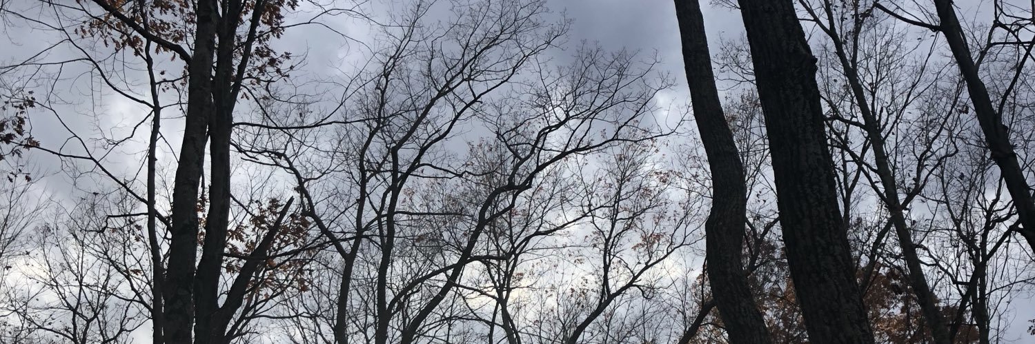 skyturtle0's profile banner image