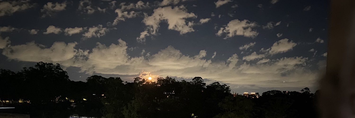 lguem_0's profile banner image