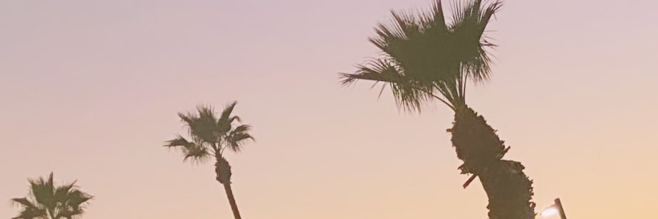 DomShaunte's profile banner image