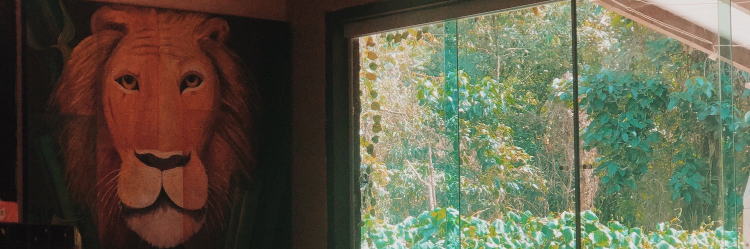 laisissima's profile banner image