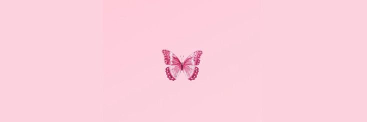 leticiafeerr's profile banner image