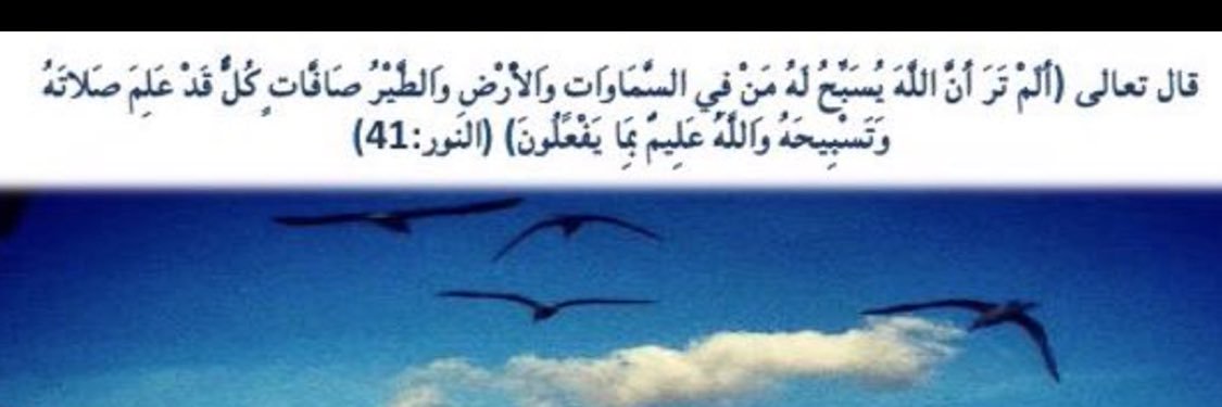 yaraaab's profile banner image