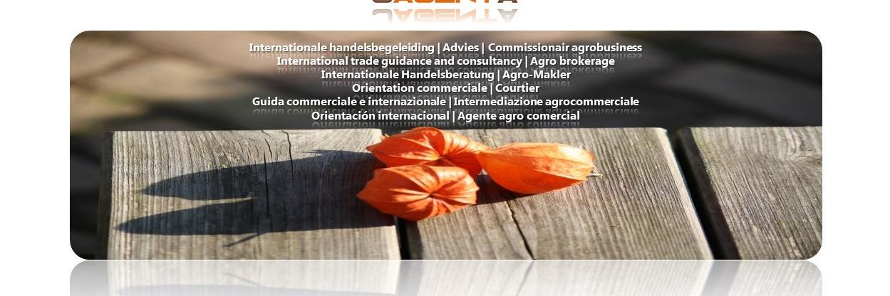 Jagenta_BV's profile banner image