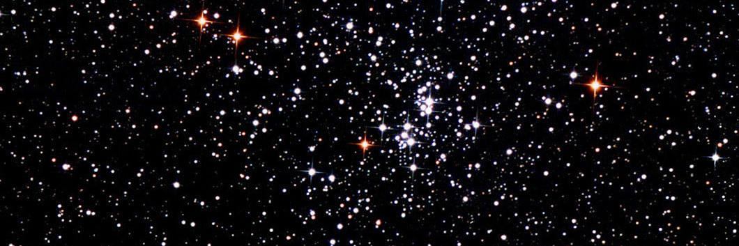 Freedead - Menalt banner