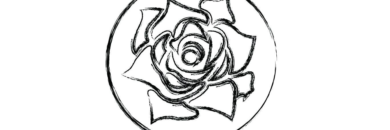 _erythrina's profile banner image