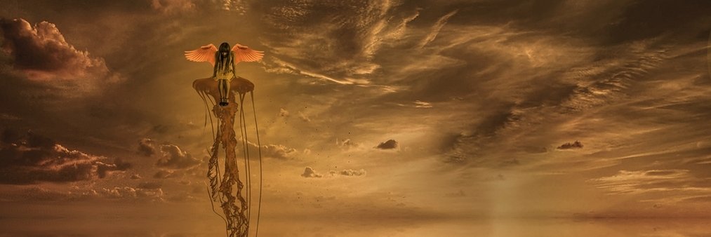 ogzsvm's profile banner image