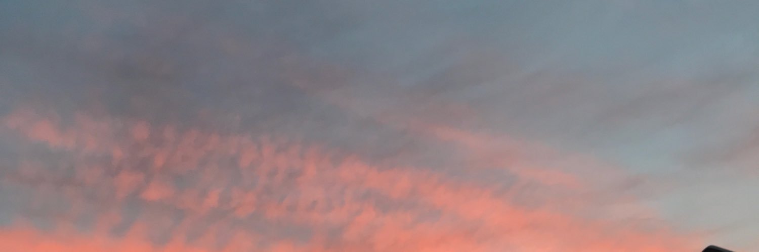 sgruart's profile banner image
