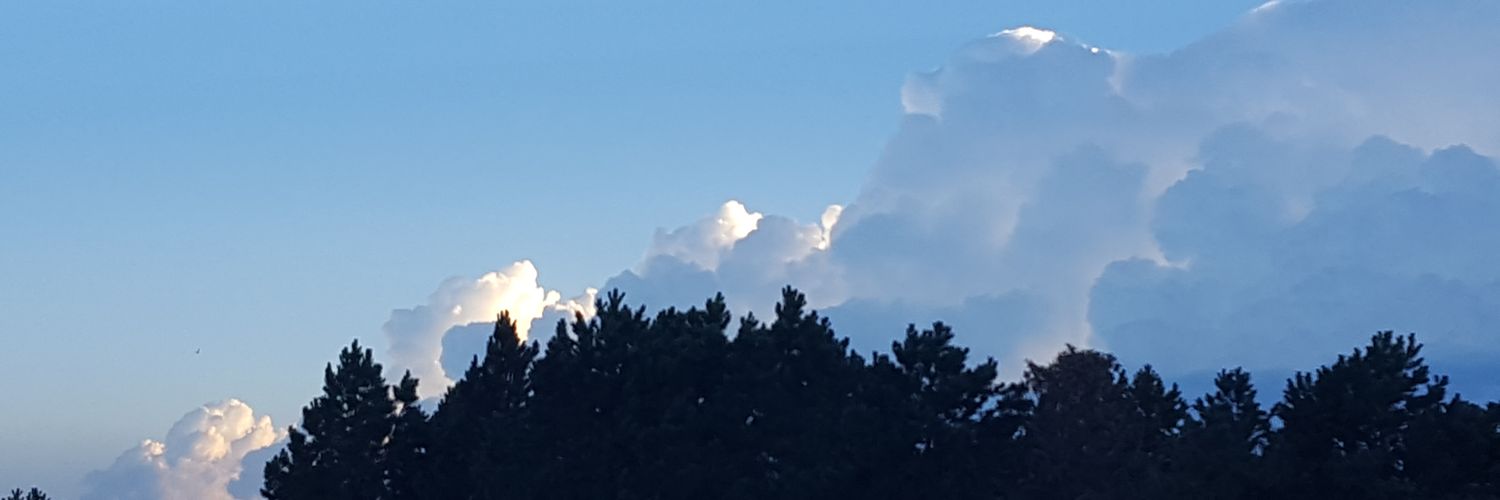 630Braun's profile banner image