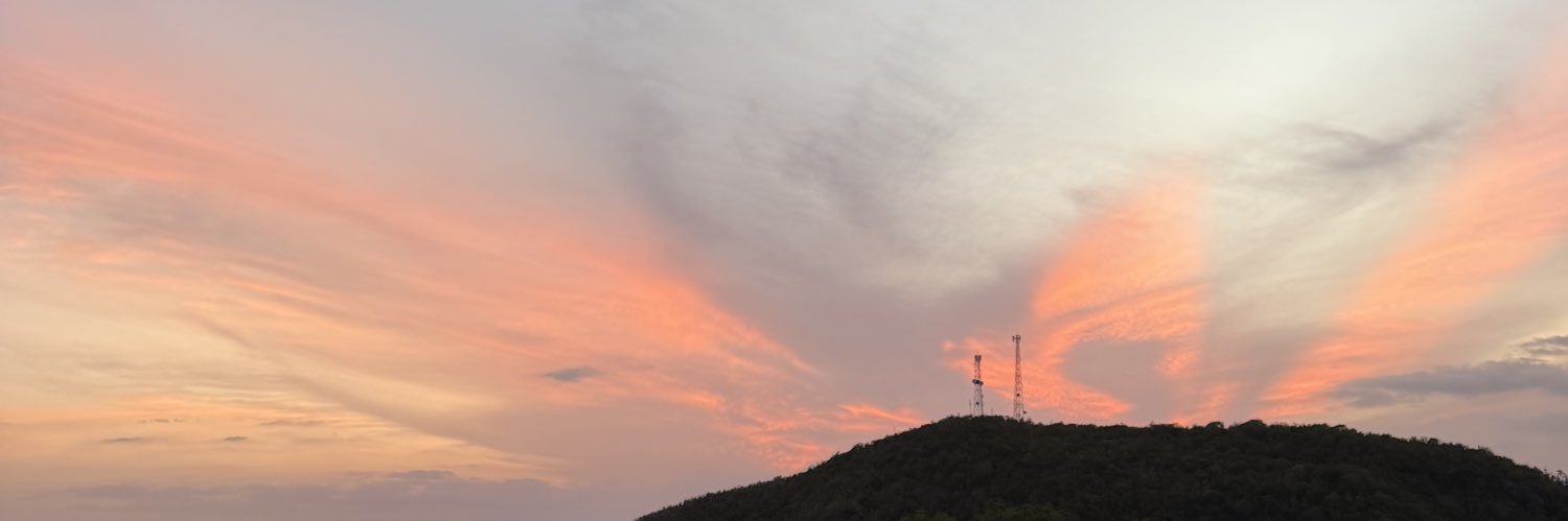 ricebag_'s profile banner image