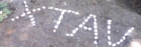 AVduafams's profile banner image