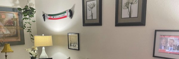 EngDualeh Profile Banner