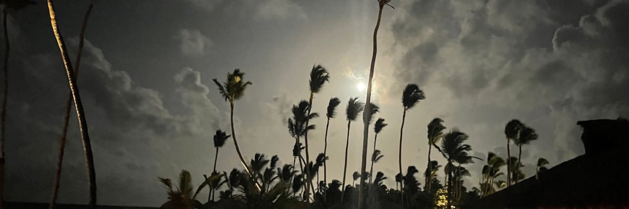 Fern_DR's profile banner image