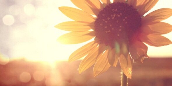 kaitlyn_webber's profile banner image