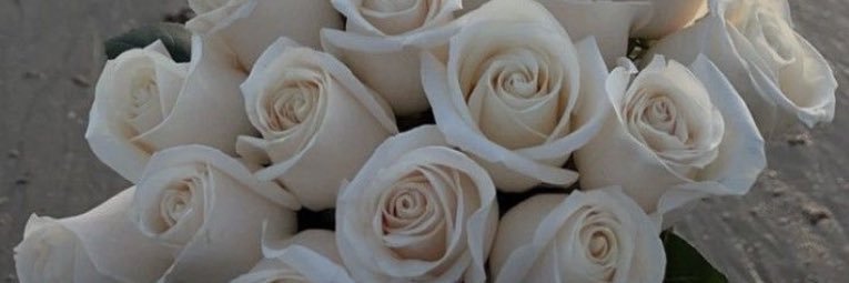 lauren_joler's profile banner image