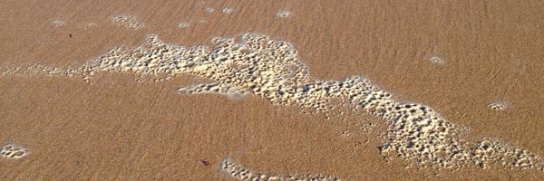 TextorMark Profile Banner