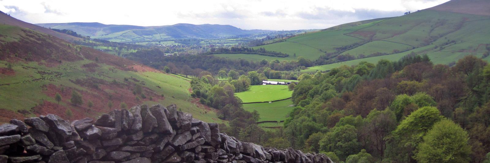 Penny Merrett banner