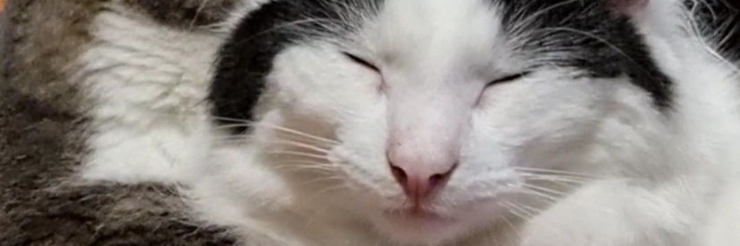 th0ts_prayers69's profile banner image