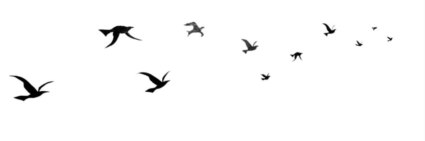 beingiqra_'s profile banner image