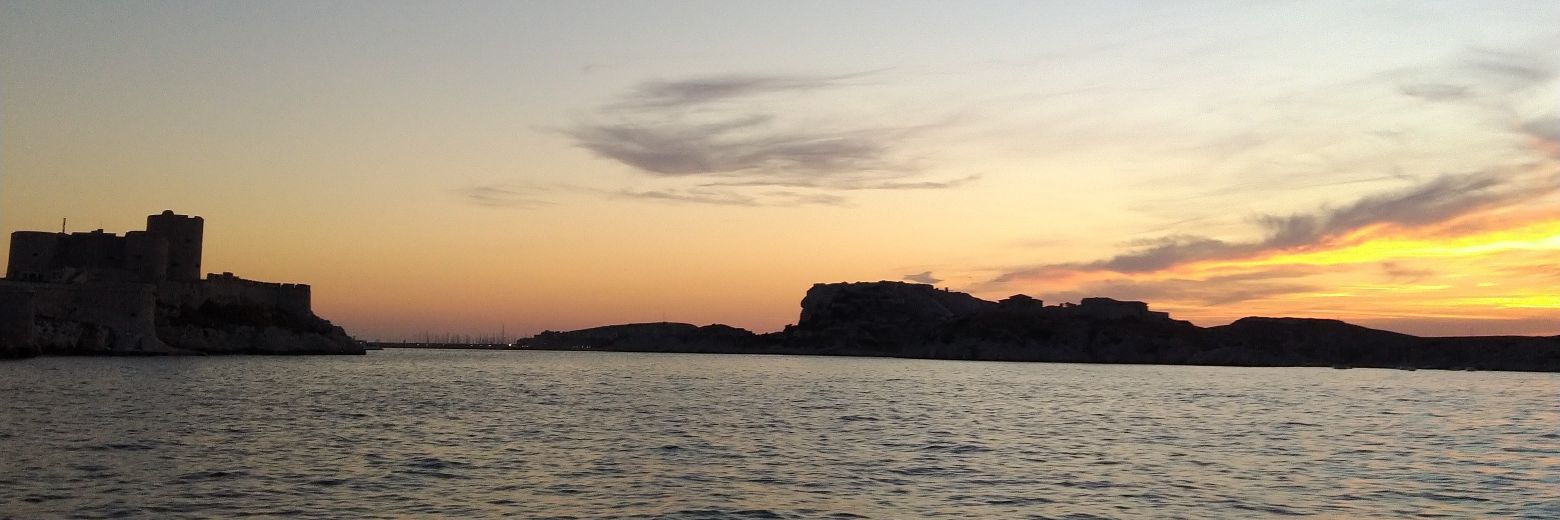 Vi 🐢🌅🍉🍷❤️ banner