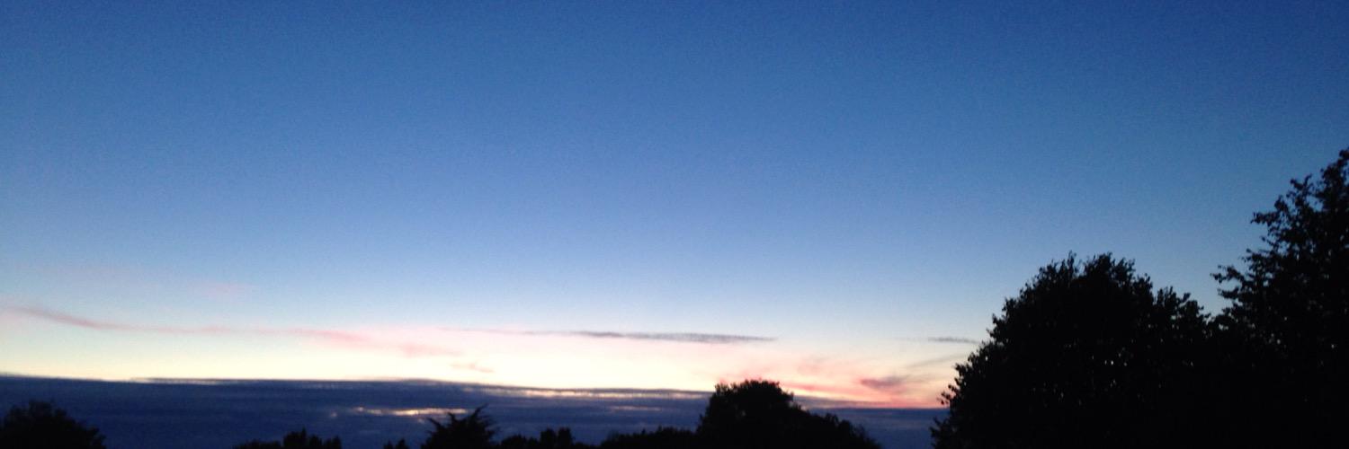 Chloe Wilks banner