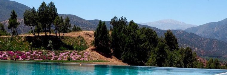 LAmandierHotel's profile banner image