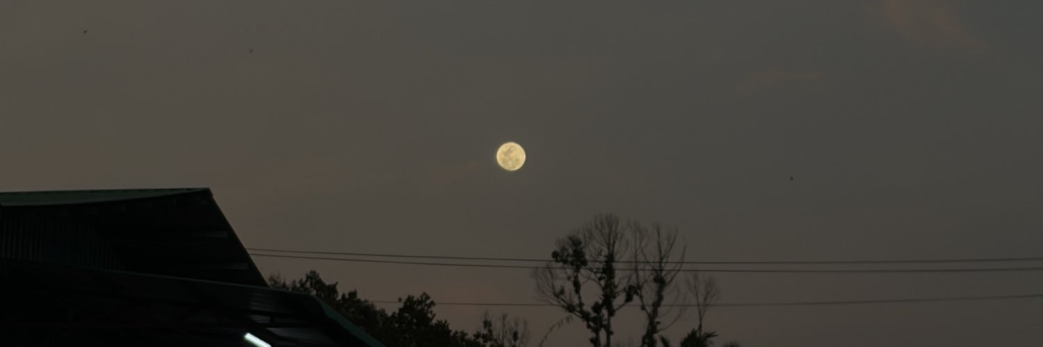 frhaina's profile banner image