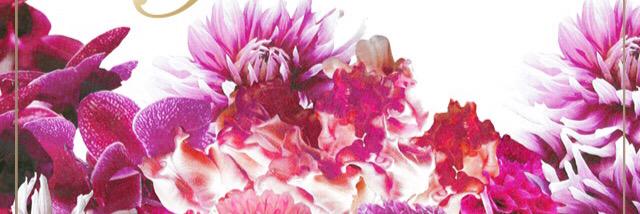 kao05101's profile banner image