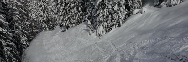 MikeSharkeyMNW Profile Banner