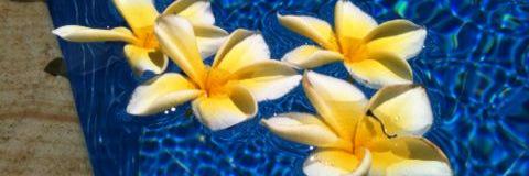 kgmbenton's profile banner image