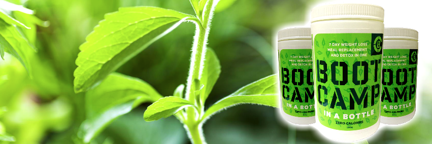 bootcampbottle's profile banner image