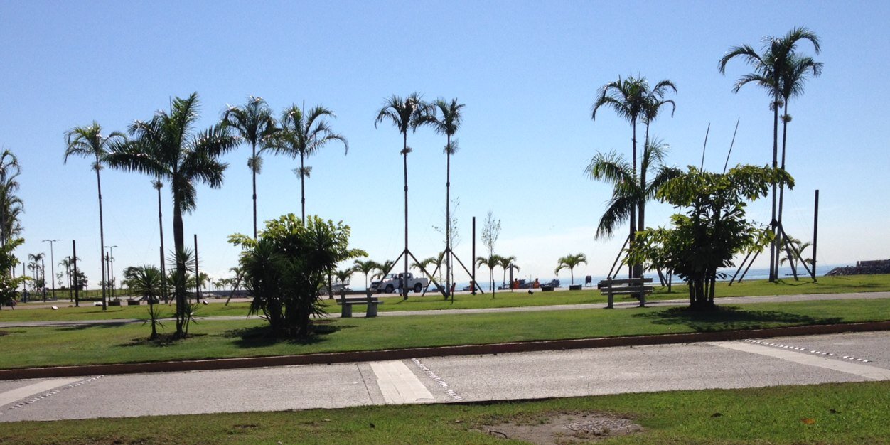 Luis Carlos Sotillo banner