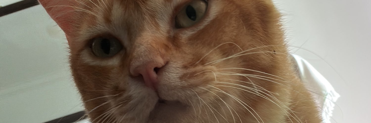 eLnaFadiYah's profile banner image