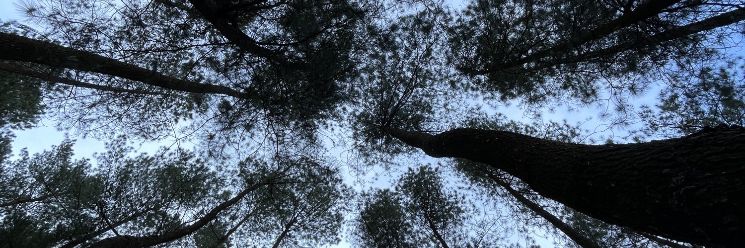 timothiussan's profile banner image