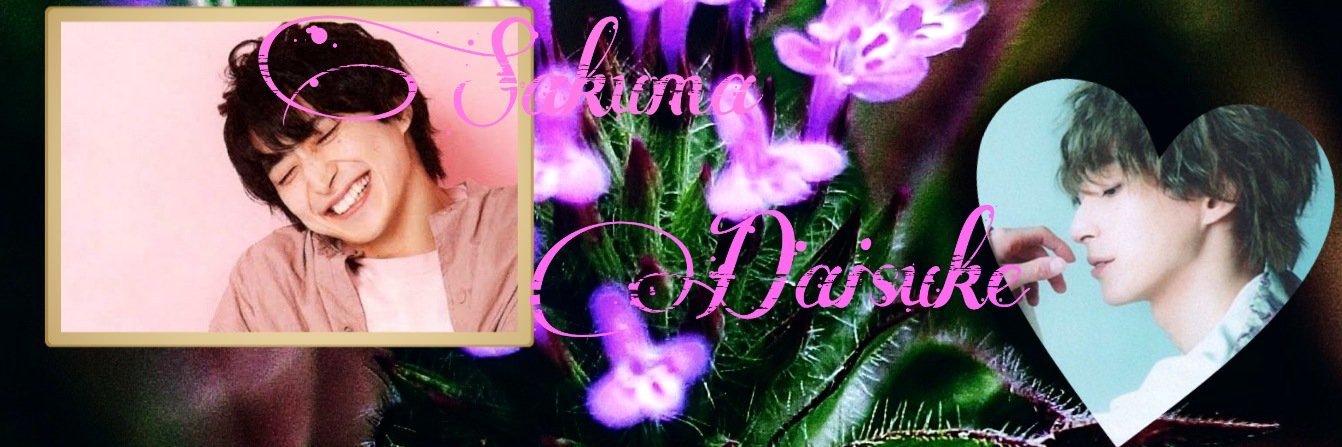 masaki_devil416's profile banner image